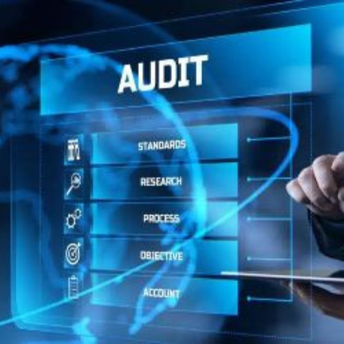 Audit Services