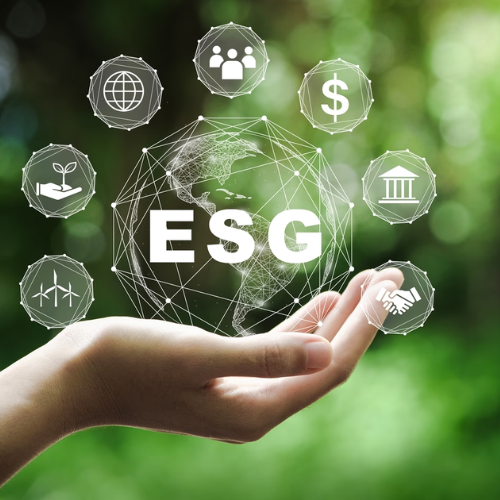 ESG Consulting