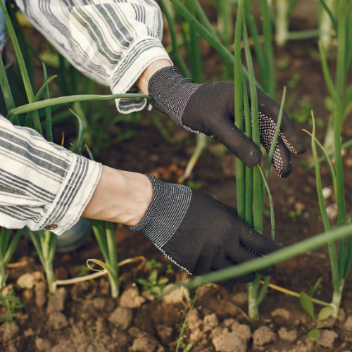 Testing & Inspection